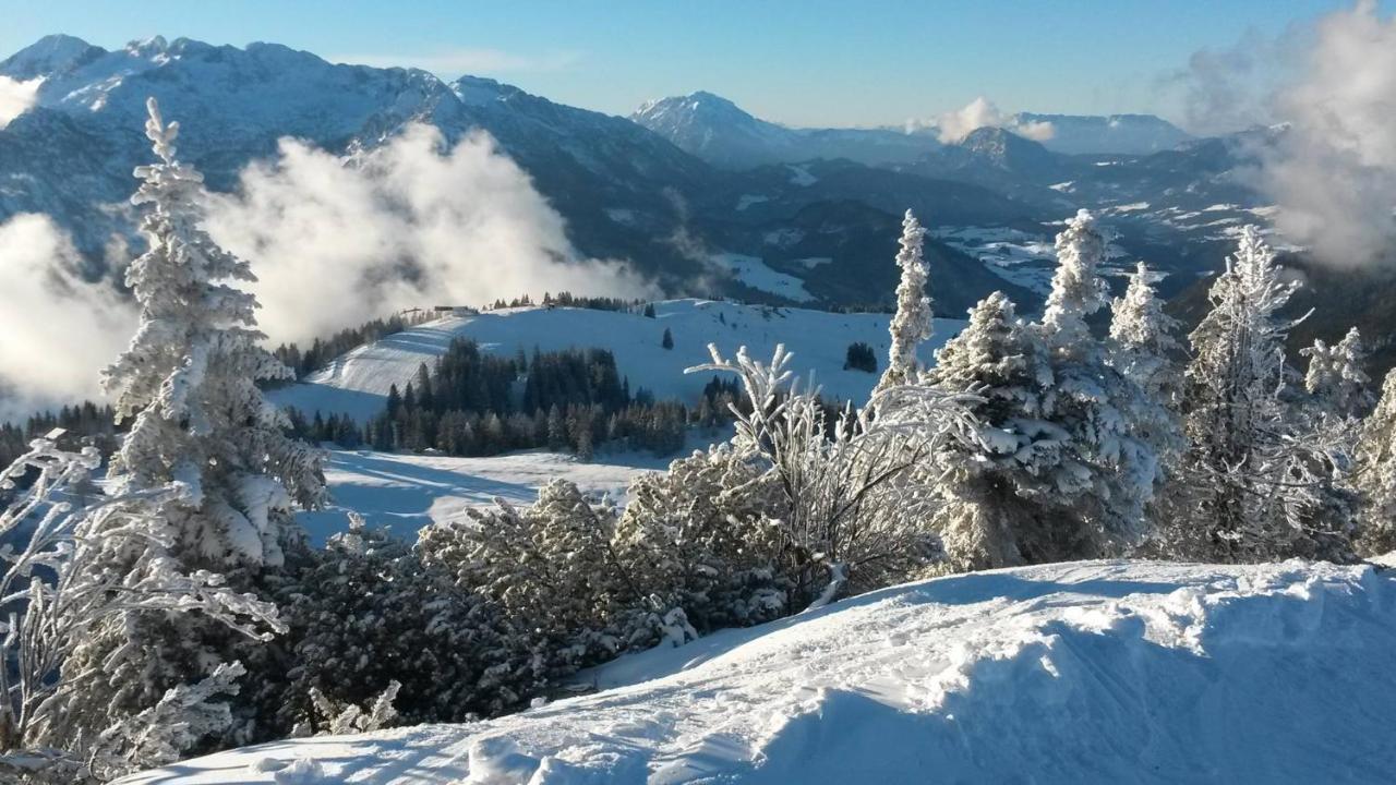 Hotel Fesengut Annaberg im Lammertal Esterno foto