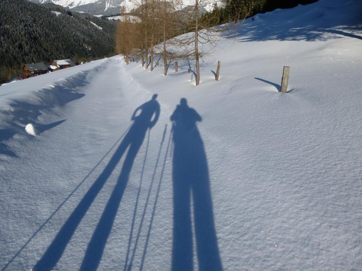 Hotel Fesengut Annaberg im Lammertal Esterno foto