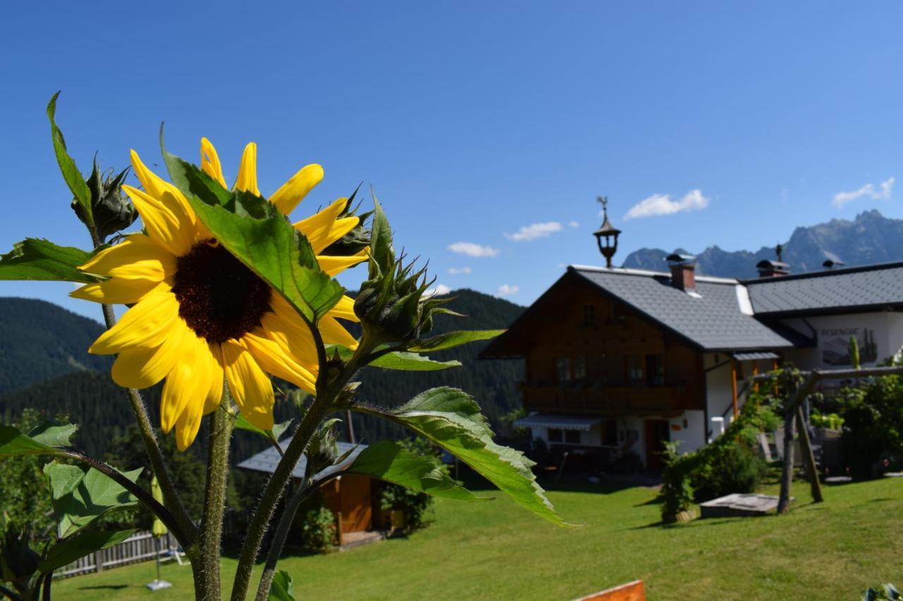 Hotel Fesengut Annaberg im Lammertal Esterno foto
