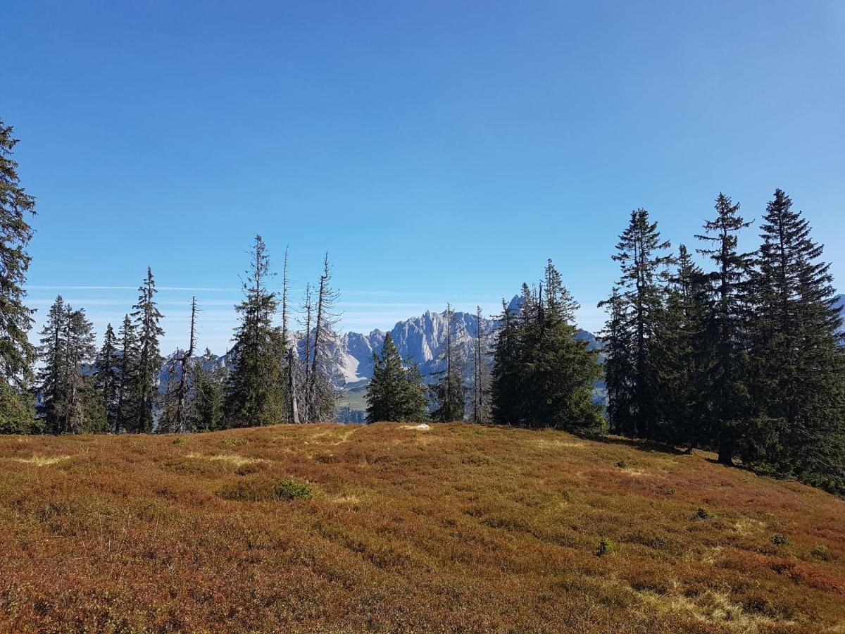 Hotel Fesengut Annaberg im Lammertal Esterno foto