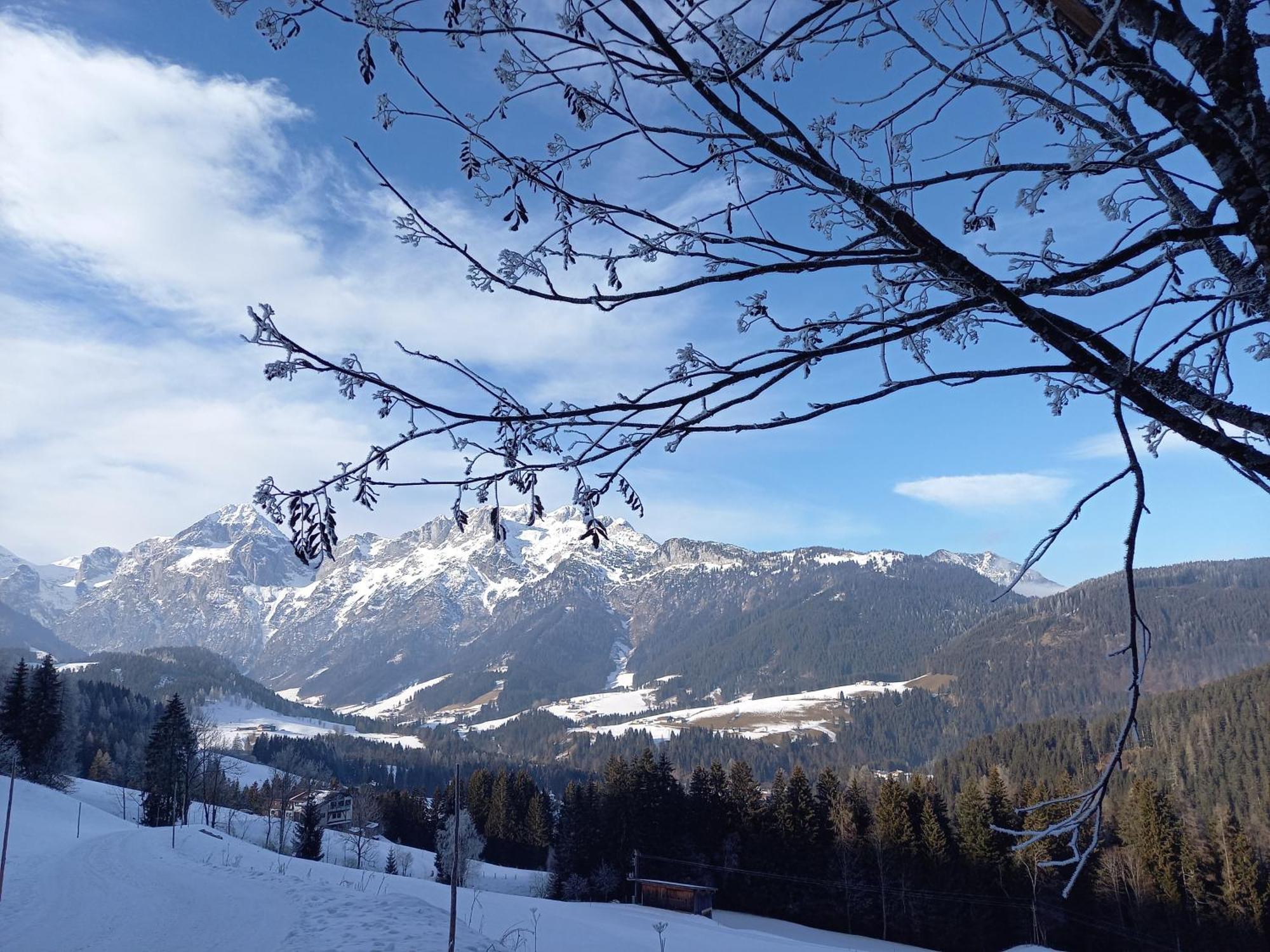 Hotel Fesengut Annaberg im Lammertal Esterno foto