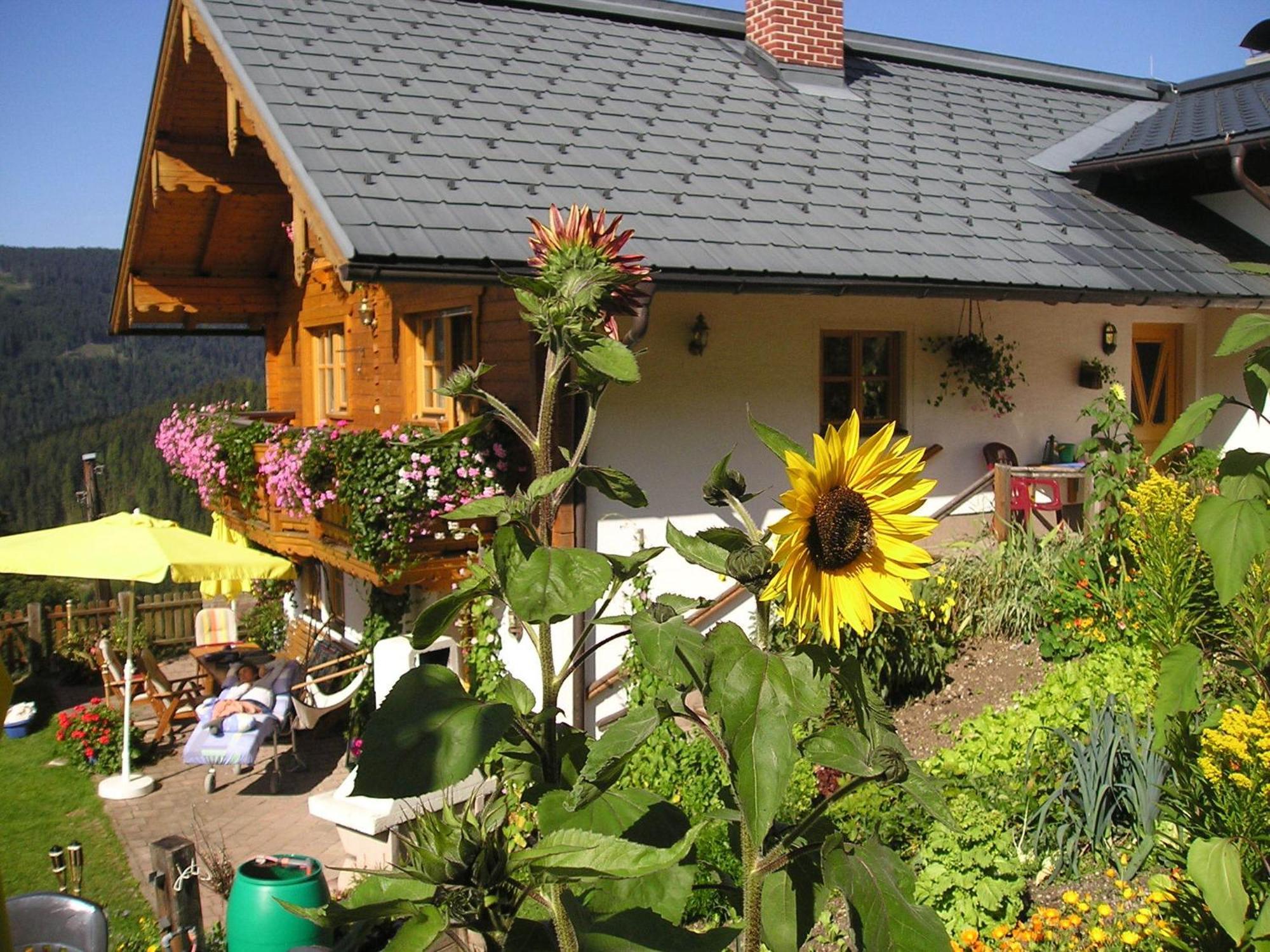 Hotel Fesengut Annaberg im Lammertal Esterno foto